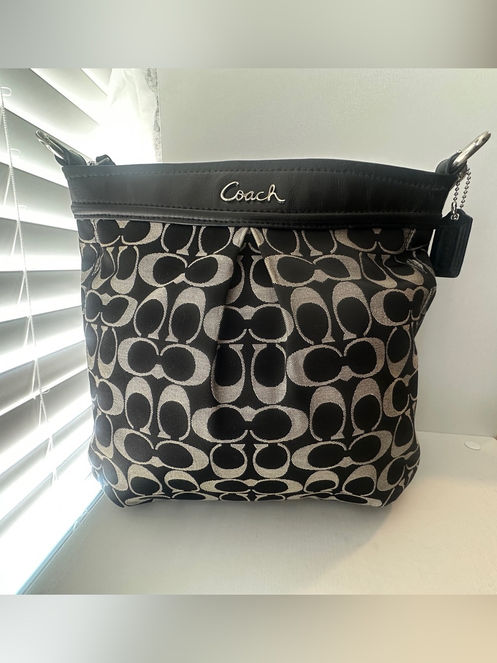 Coach Ashley Signature Hippie Shoulder Bag